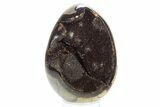 Septarian Dragon Egg Geode - Sparkly Black Crystals #329486-1